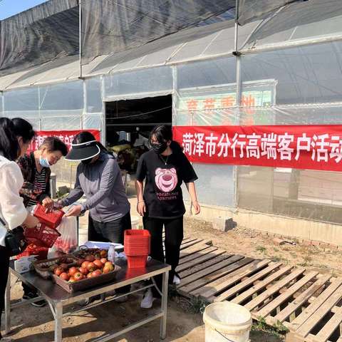 菏泽分行“缤纷时光 邮储同行”采摘活动