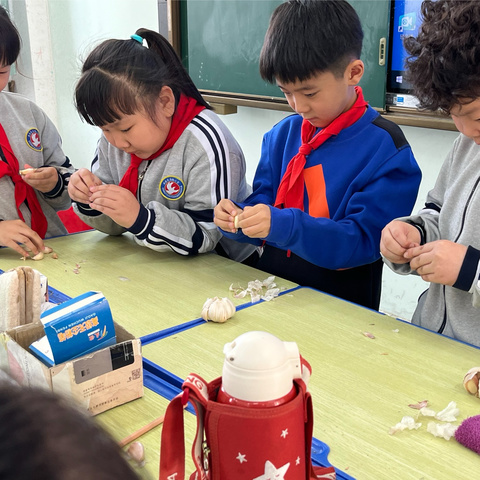 【巧手展风采， “蒜”你最厉害】——丛台区实验小学二（12）中队剥蒜技能大赛