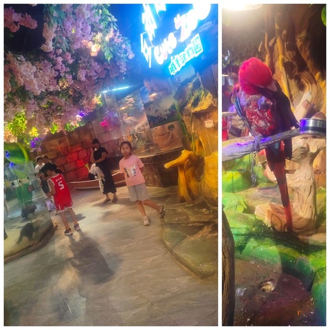 我的暑假“暑”于我——二（3）班姜筱蕾的快乐假期