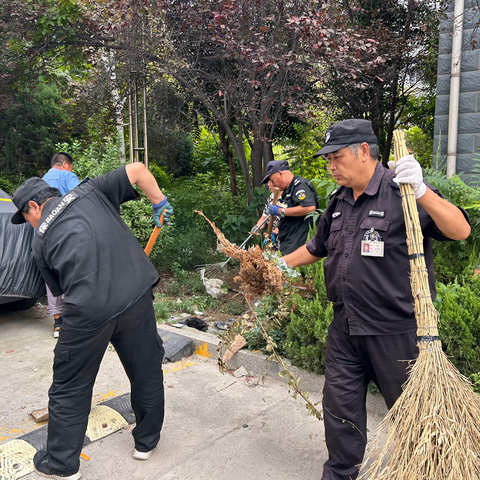 杂物清理，工作持续！  环境整洁，共同维护！