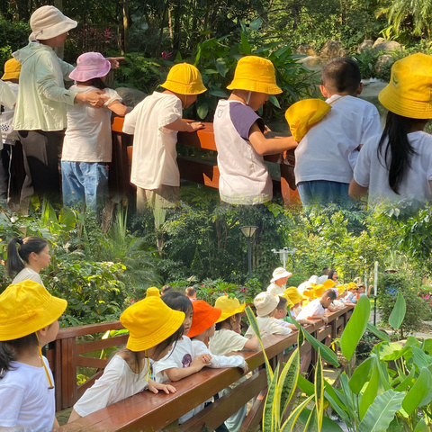 “爱在四月，见证成长” 龙骅幼儿园——“市一级幼儿园”大一班四月生活小记📝