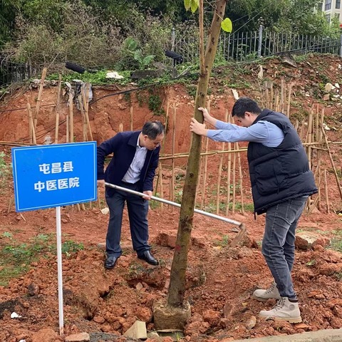 为自然加一抹绿-植树节活动