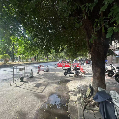 2024年10月24日金沙街河长办工作简报