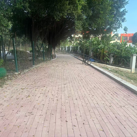 2024年11月11日金沙街河长办工作