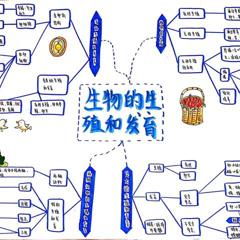 以导图为桥梁，探思维之奥妙——茂名市祥和中学初二生物思维导图大赛