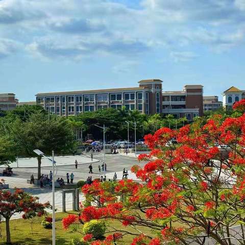 建设书香班级 共享阅读乐趣——华二黄中附属小学六（3）班读书分享活动蓬勃开展