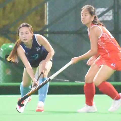 Rhino vs Bauhinia B
