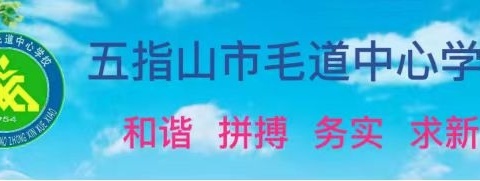 教研促发展，集备出新意——2024年春季毛道中心学校数学组教研活动（七）