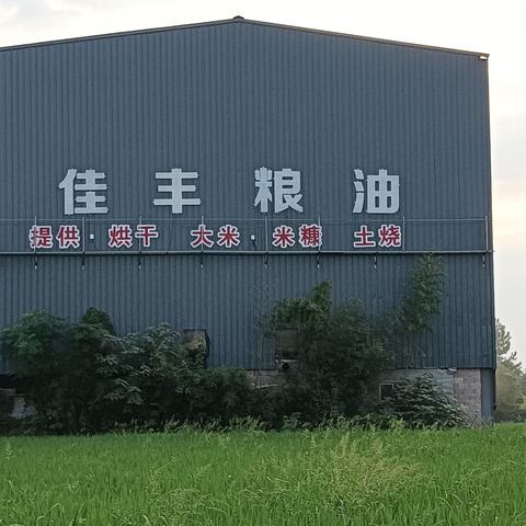 国庆狂欢购-新米上市 团购巨惠