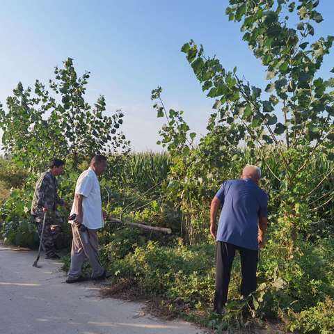 护耕地，守红线——两委合力齐上手，扎实推进图斑整治