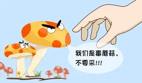 柘港乡人民政府提醒您：远离毒蘑菇，不做“菇勇者”！