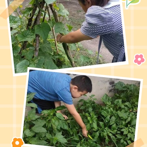 不负“暑”光，留“夏”美好 ——上水屯小学暑假特色实践活动