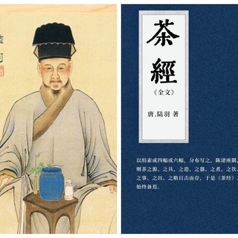 《致敬绿水青山·以文化之名》南京慧成长第54期亲子研学旅行