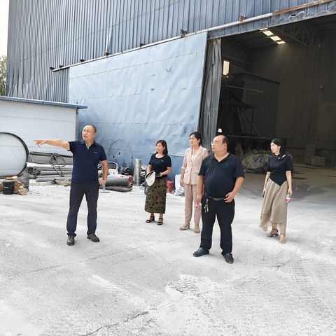 王寨乡人大开展劳动就业工作视察