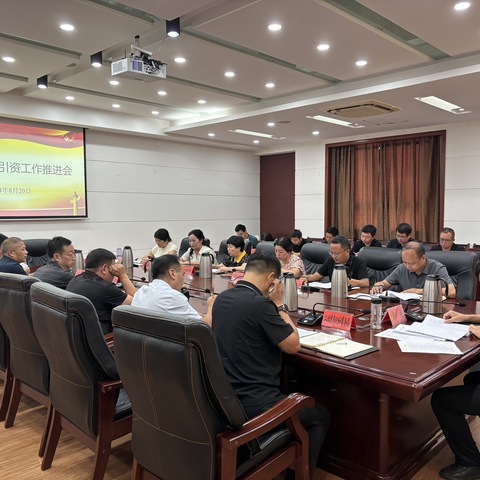 洛宁县召开招商引资工作推进会