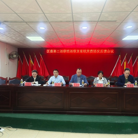八届区委第七轮巡察二组在龙泉镇召开巡察反馈会议
