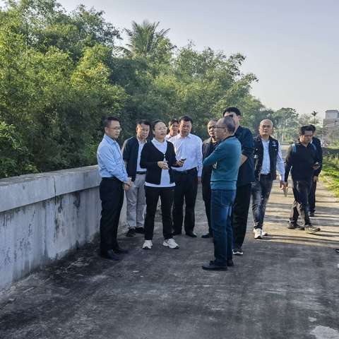 龙华区委书记陈芳带队调研龙泉镇防洪堤情况