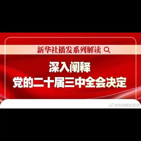 学习二十届三中全会精神