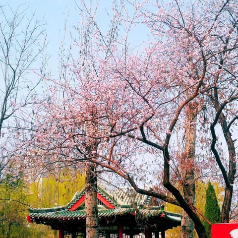 视导如沐春风，共促教育昌盛