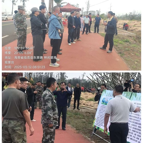 海南白蝶贝省级自然保护区管护站参加临高县2025年度义务植树活动