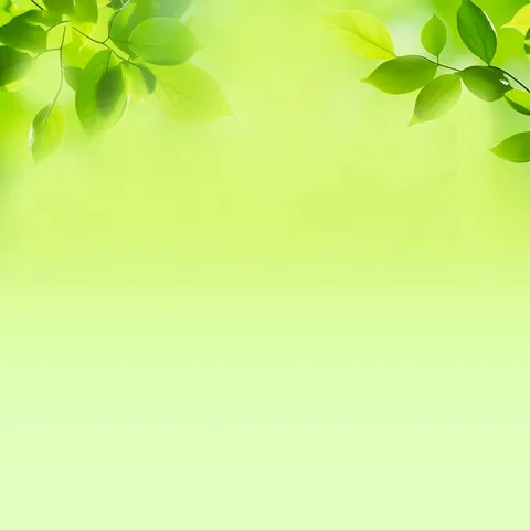 【河套管区】以“网”聚力，反诈反邪并守护，筑牢群众安全墙