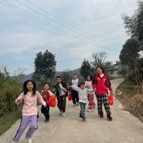 我和野菜的春天之约