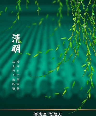 “铸魂.2024.清明祭英烈”——燕窝镇姚湖小学祭扫活动