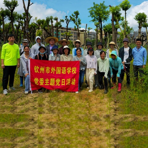 党员树典型 新校区绿植清点我先行——钦州市外国语学校党员志愿服务活动