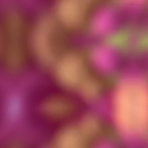 鱼邱湖街道中心幼儿园（大班）品德教育之劳动“馒”心收获