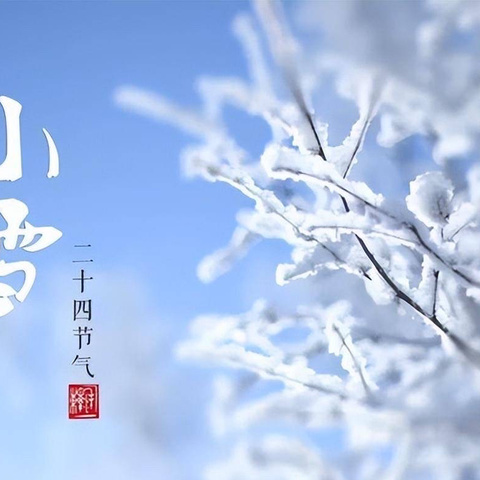 “小雪到，冬始俏”——【智慧树幼儿园】大三班小雪节气主题活动