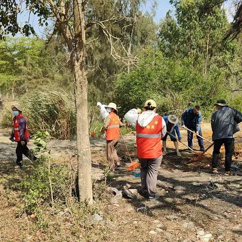新龙镇新村开展卫生整治，共创美好家园