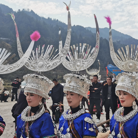 吉林老党--千姿百态玩手机--吉林老党摄