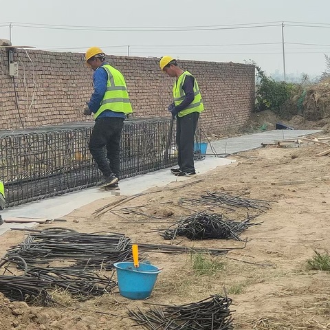 相桥街道开展违法占地巡查整治工作