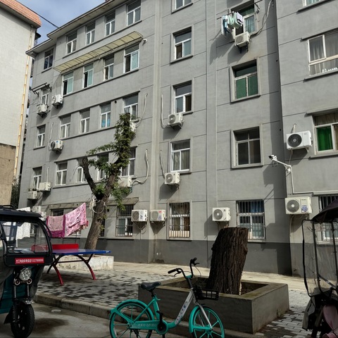 及时处置危树隐患，筑牢公共安全防线—中山社区网格排查安全隐患