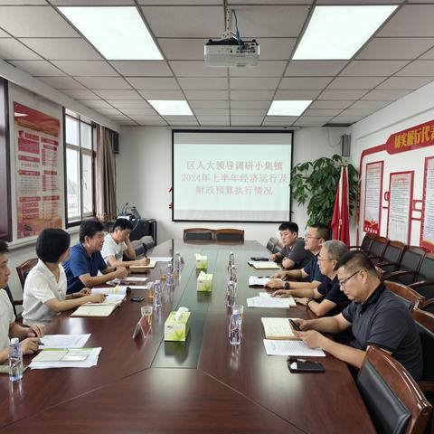 区人大领导赴小集镇调研上半年财政预算执行及经济运行情况