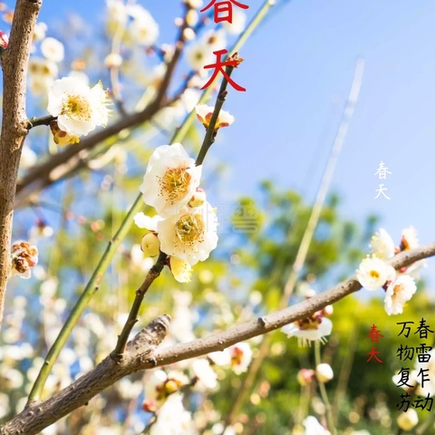 孜孜不倦  蒸蒸日上———昌黎汇文二中高二年级春季写生纪实