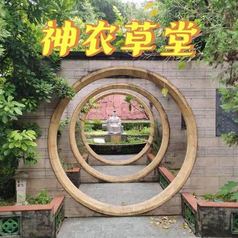 神农草堂研学活动