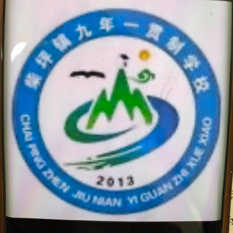 奋勇拼搏 “排”出精彩——柴坪镇九年一贯制学校参加镇安县2024年青少年校园排球联赛总决赛