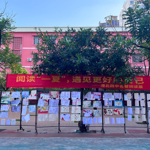 阅读“一夏”，遇见更好的自己                                    ———港北四中