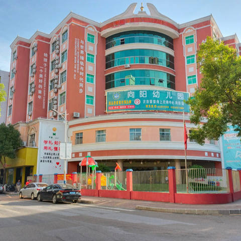 快乐暑假，安全一夏——向阳幼儿园2024年暑假温馨提示