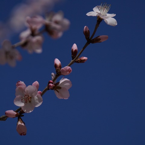 大庆市三永学校“启悦杯”读书节系列活动六——亲子阅读