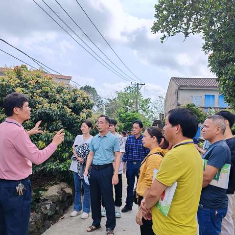 海口市农技中心联合海南电视台在永兴镇博强村举办荔枝保果壮果技术田头培训班