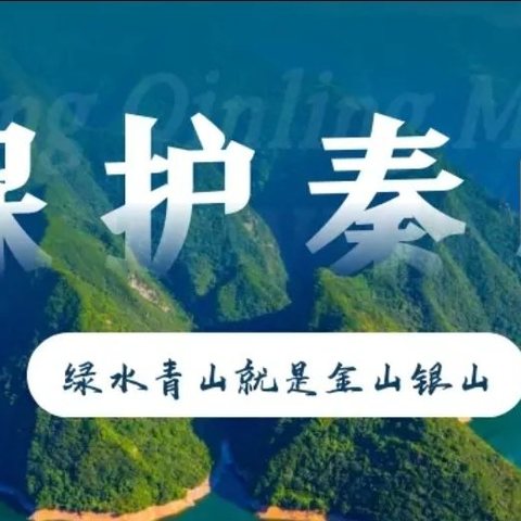 守护中央水塔  当好秦岭卫士——张卜南郭小学秦岭生态环境保护宣传周活动