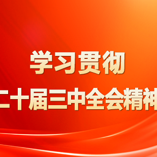 党的二十届三中全会精神一起学（一）