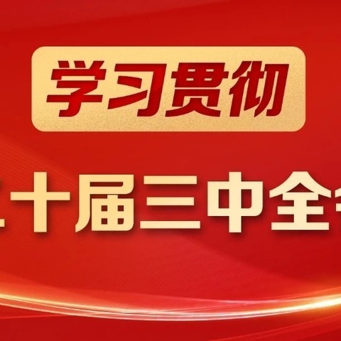 党的二十届三中全会精神一起学（二）