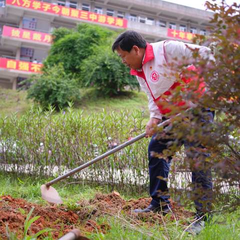 “植”此青绿，遇见美好 ——记信宜市第三中学校园植树活动