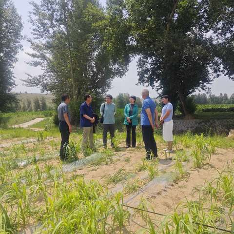 市科协调研组调研科技小院建设工作