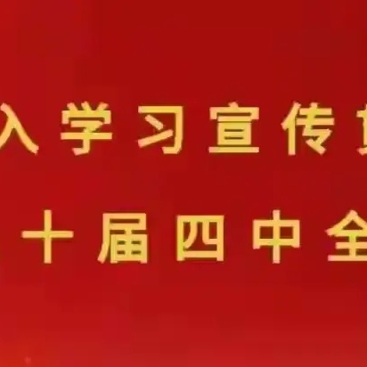 干群同心清积雪 暖心为民保畅通——故县镇1月30日工作动态