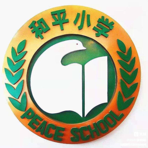 关“心”健康，守“未”成长——个旧市和平小学“护苗行动”心理健康家庭教育指导讲座