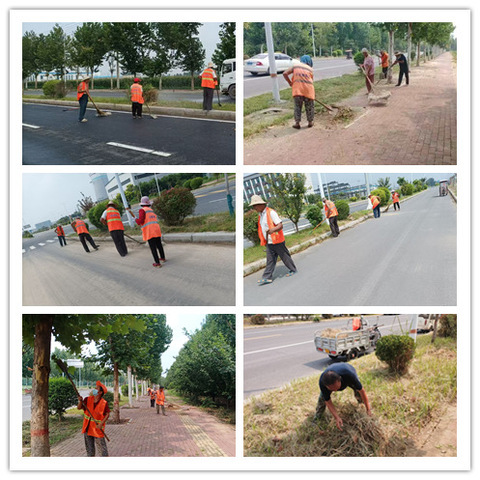 【崇峰环卫】“洁”尽全力，常村镇打响秋季清洁“保卫战”